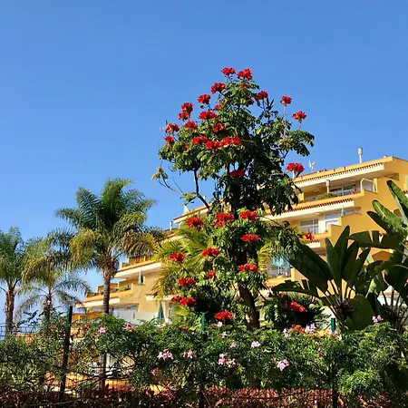Apartament Tigaiga Puerto de la Cruz (Tenerife)